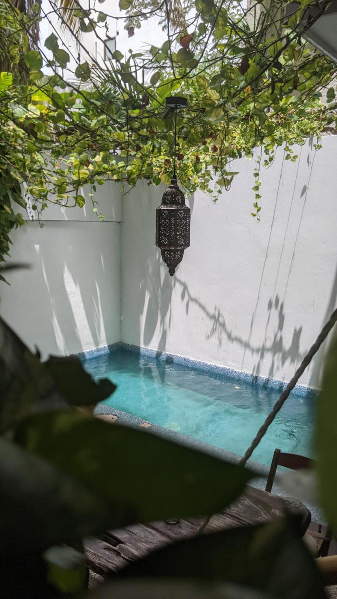 The Green Village Boutique Hotel Playa del Carmen Eksteriør billede